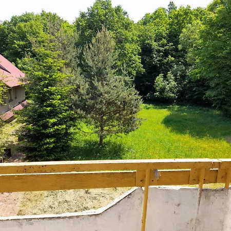 Лок 